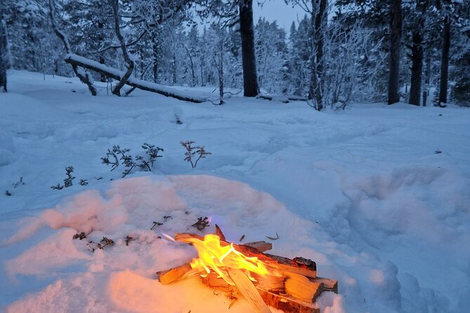 Kiruna Small-Group Snowshoe Activity - Common questions