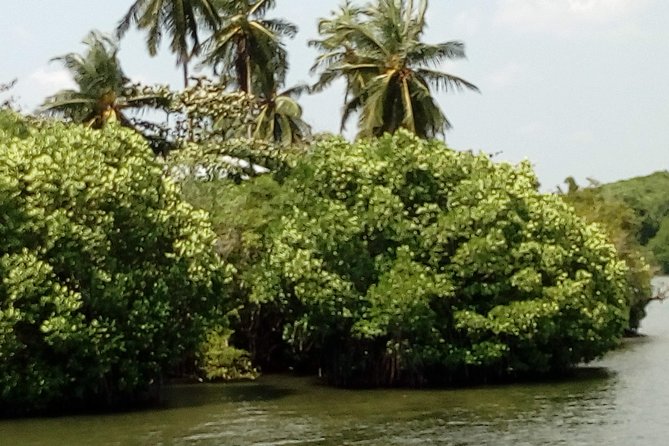 Koggala Lake Boat Tour - Additional Resources and Company Details