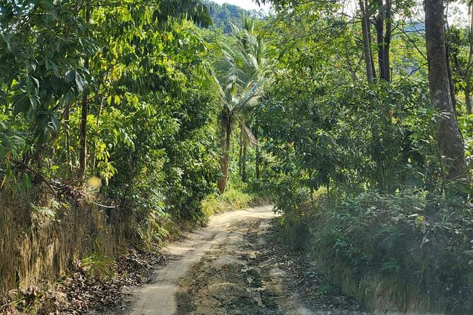 Koh Samui 4WD Jeep Jungle Tour - Directions