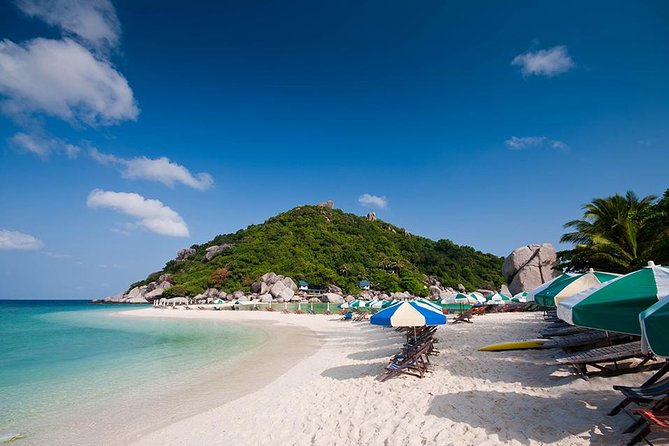 Koh Tao and Koh Nang Yuan Speedboat Tour From Koh Samui - Contact and Support Information