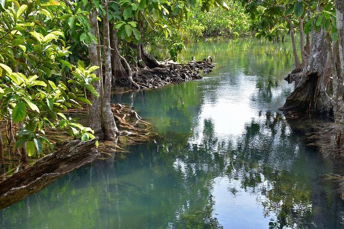 Krabi Countryside Eco Cycling Tour - Multiple Trails - Common questions