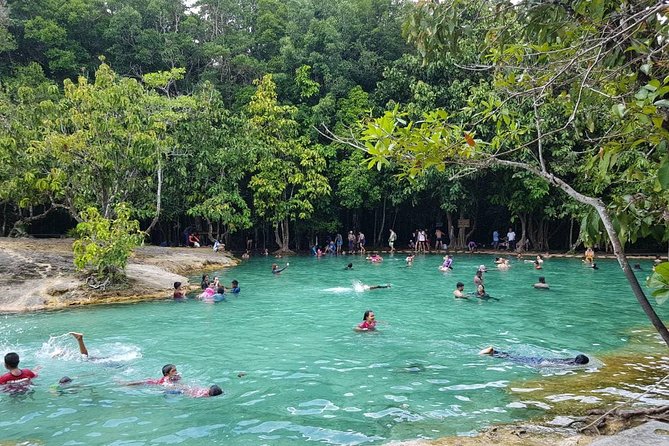 Krabi Emerald Pool, Hot Spring and Tiger Temple - Traveler Support and Information