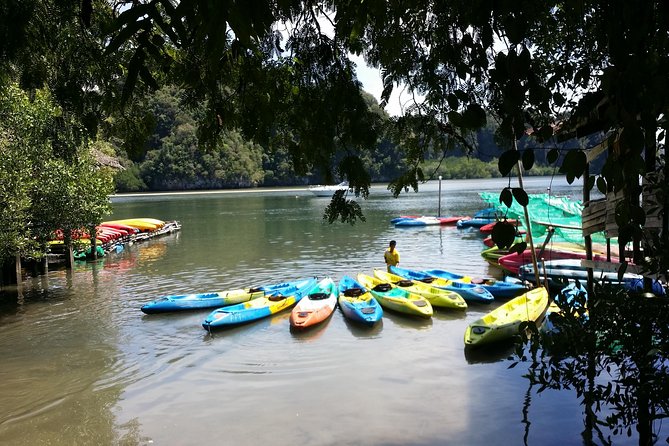 Krabi Kayaking Early Morning Small Group Tour - Additional Information