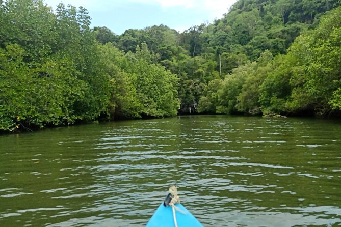 Krabi: Kayaking Tour at Ban Bor Thor Ancient Cave & Mangroves - Last Words