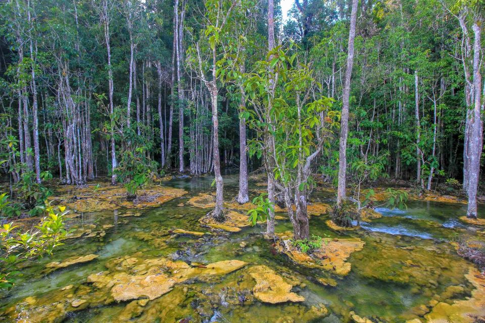 Krabi Outback Explorer With Kayaking in Klong Root - Common questions