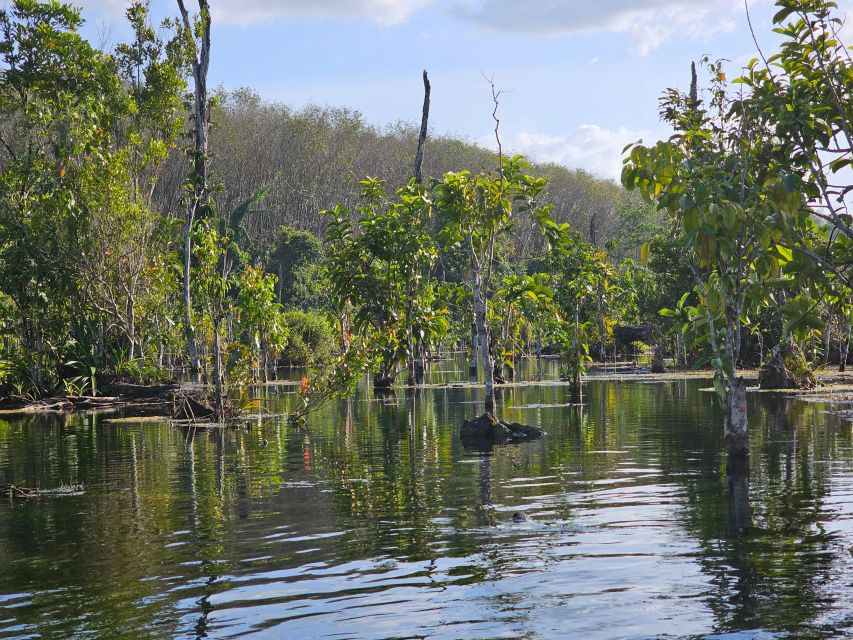 Krabi: South Kayak Klong Root Kayaking Tour - Directions