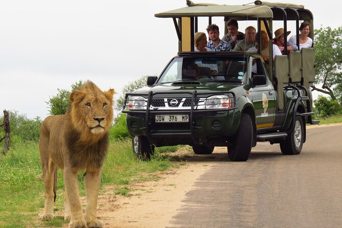 Kruger National Park Afternoon Private Safari - Additional Safari Details