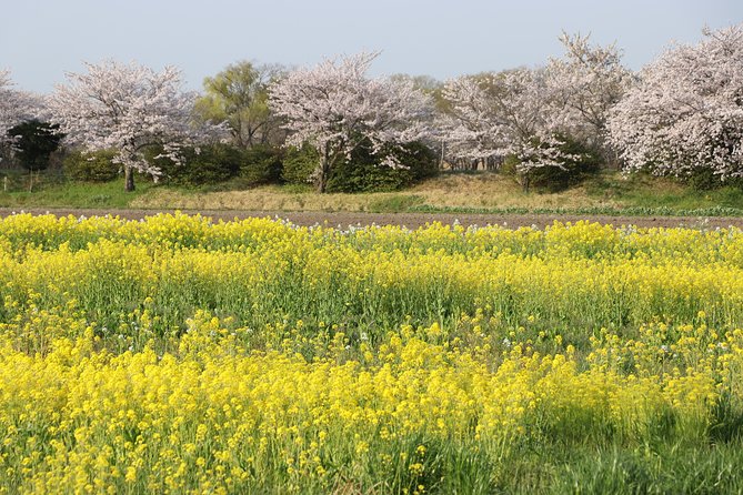 Kyoto Country Side Scooter Tour - Last Words