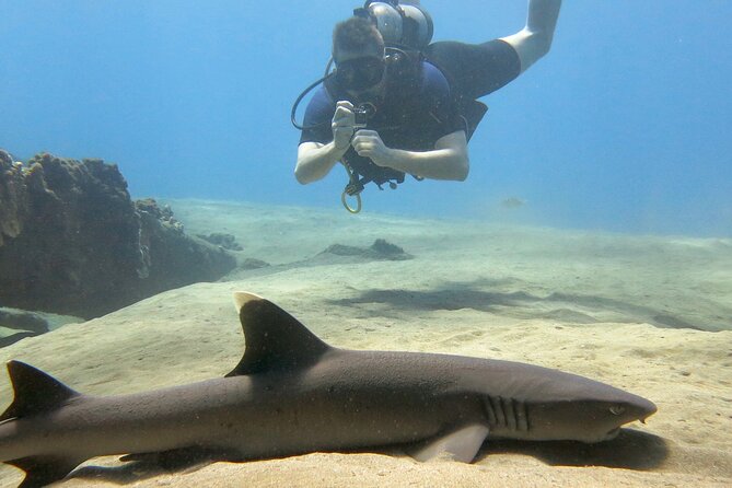 Lahaina Small-group Scuba Review Dive  - Maui - Photography Package Details