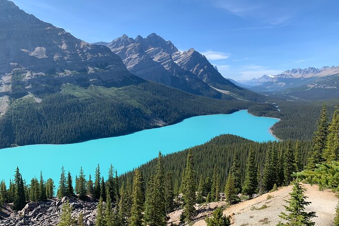 Lake Louise and the Icefields Parkway - Full-Day Tour - Tips for the Tour