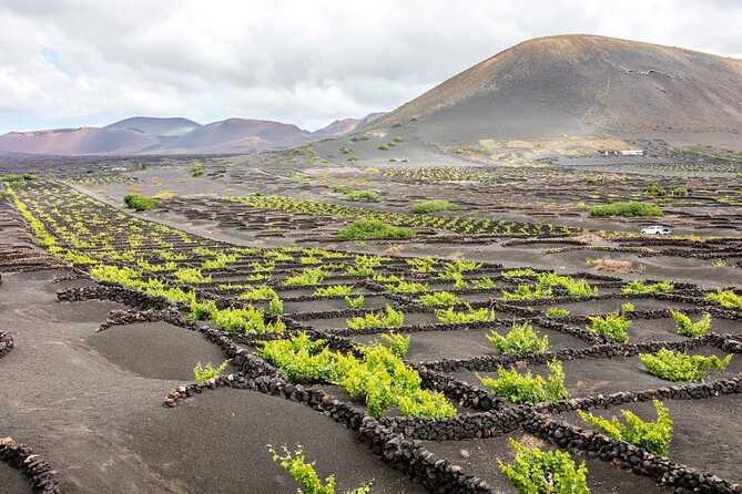 Lanzarote Tour With Timanfaya National Park and El Golfo - Cancellation Policy Details
