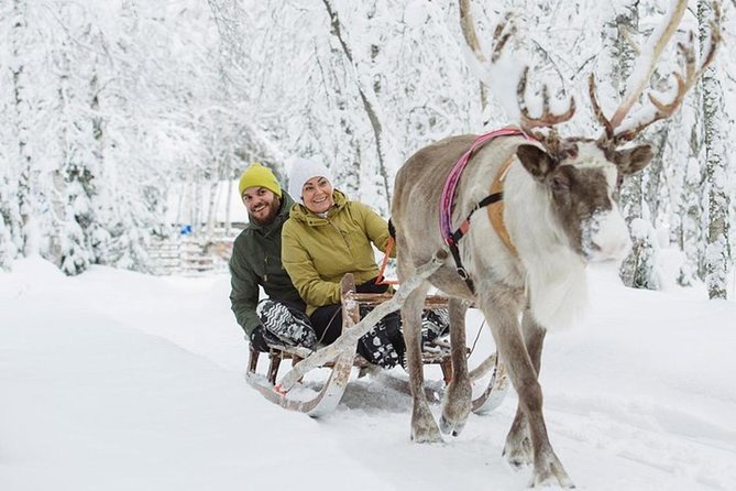 Lapland Reindeer Safari From Levi - Last Words