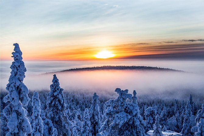 Lapland Snowmobiling Small-Group Experience  - Rovaniemi - Customer Reviews and Testimonials