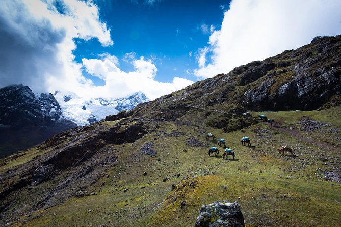 Lares Trek to Machu Picchu (4 Days) - Final Thoughts