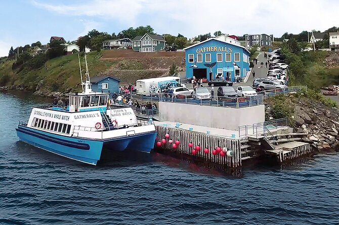 Late Season Puffin & Scenic Coastal Cruise - Last Words