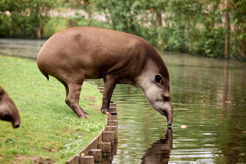 Leewarden: AquaZoo Entry Ticket - Visitor Information