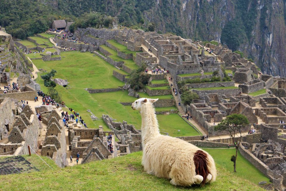 Lima: 9-Day Peru Express With Ica, Cusco, and Puno - Reservation Process
