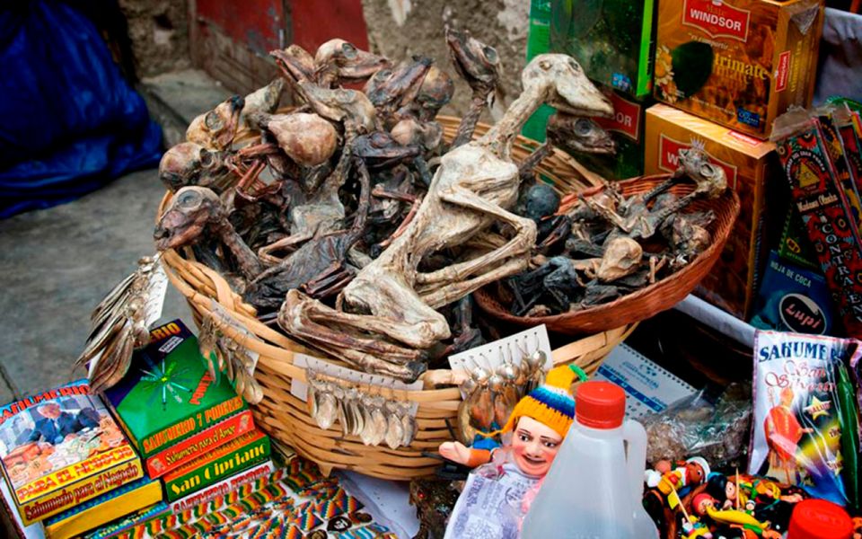 Lima: Bizarre Tour in Gamarra (Witches Market) - Customer Testimonials