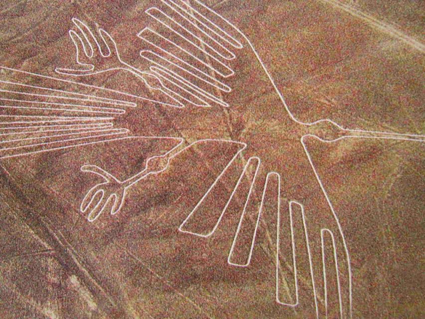 Lima: Nazca Lines, Winery and Huacachina Oasis Private Tour - Common questions