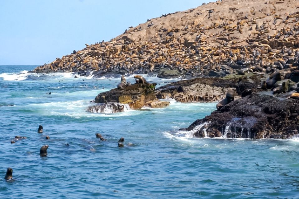 Lima: Palomino Islands Speedboat Tour & Swim With Sea Lions - Directions