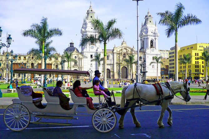Lima Small-Group Full-Day City Sightseeing Tour - Viator Booking Process