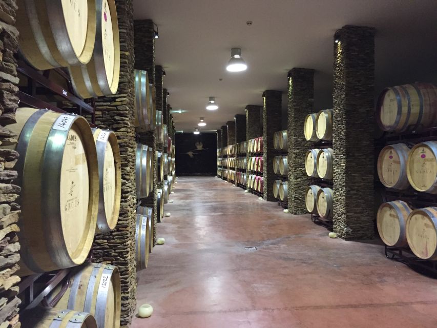 Lisbon: Private Evora Tour With Wine Tasting - Last Words