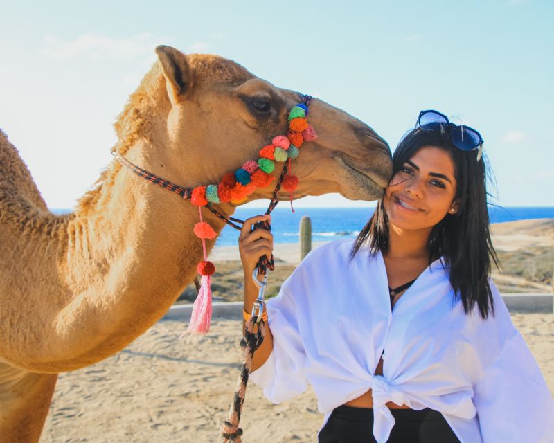 Los Cabos: Camel Safari Adventure - Last Words