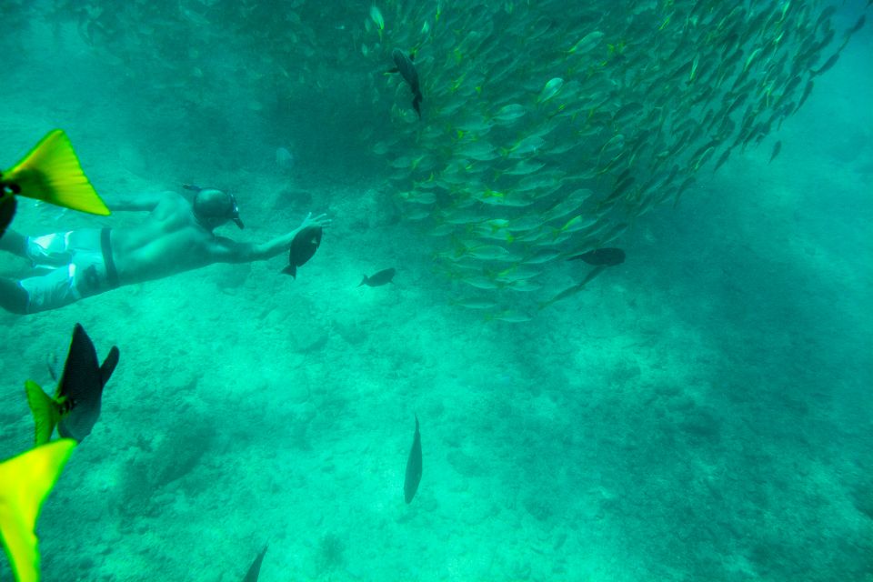 Los Cabos: Chilena & Santa María Bay Private Snorkeling Tour - Additional Tips and Considerations