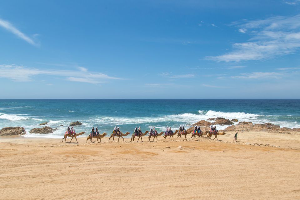Los Cabos: Sunset Fiesta Dinner Cruise With Camel Ride Tour - Directions