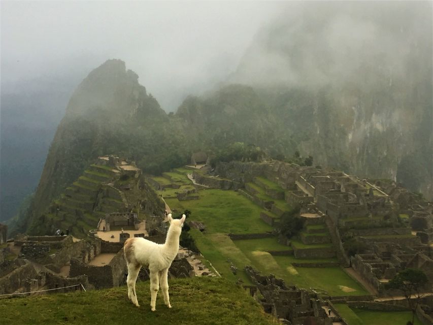 Machu Picchu: Private Tour Guide Service - Guides Knowledge and Attentiveness