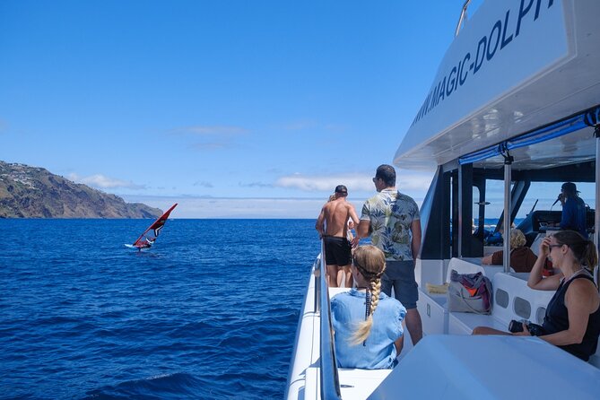 Madeira Dolphin and Whale Watching on a Ecological Catamaran - Common questions