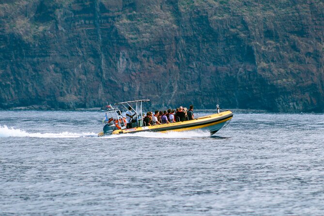 Madeira Dolphin & Whale Watching Tour - Common questions