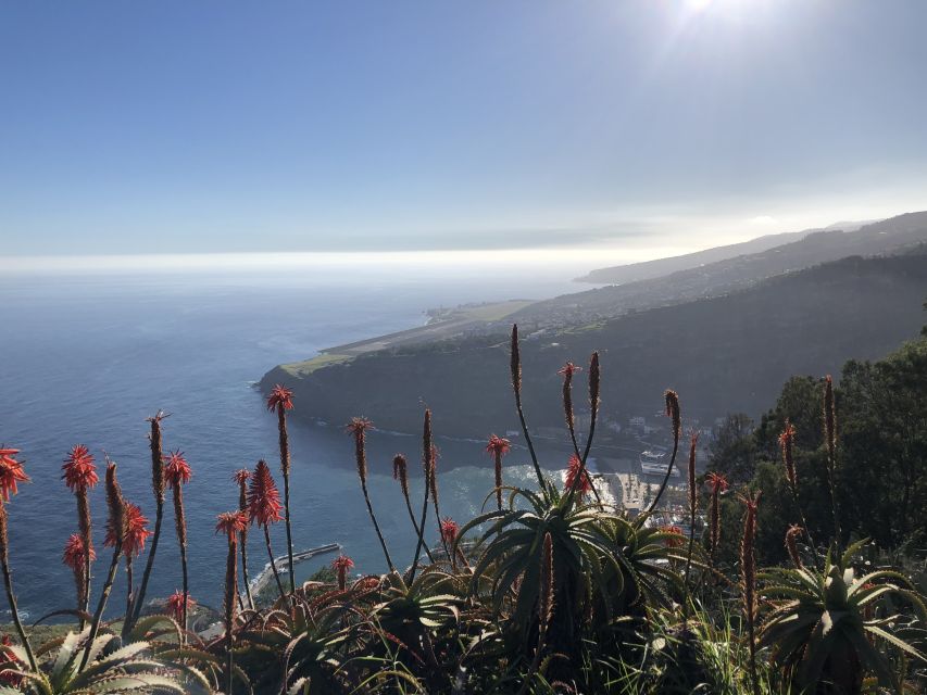 Madeira Island: Full-Day Guided Tour of Eastern Madeira - Common questions