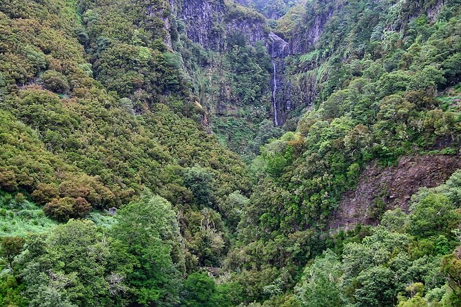 Madeira Levada Walk - Rabacal Lakes and Fountains - Common questions