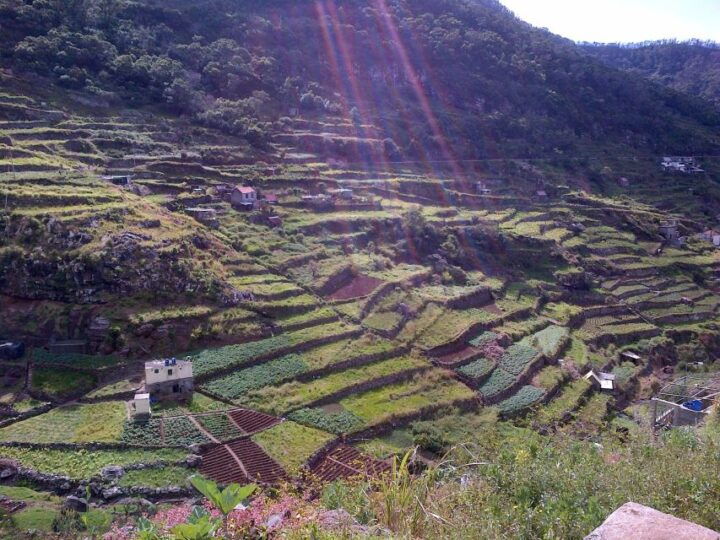 Madeira: Maroços Landscapes 2.5-Hour Guided Walk - Highlights of the Experience