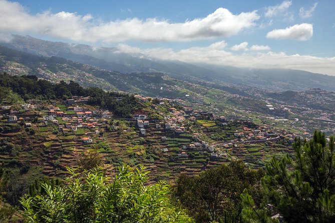 Madeira Private Full-Day 4x4 Sightseeing Tour - Common questions