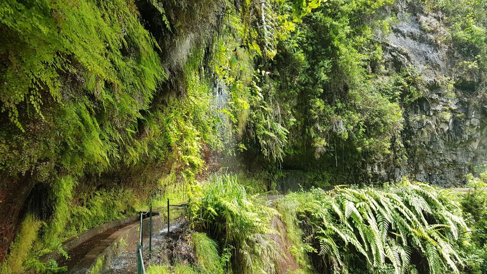 Madeira: Private Guided Levada Do Rei Walk PR18 - Last Words