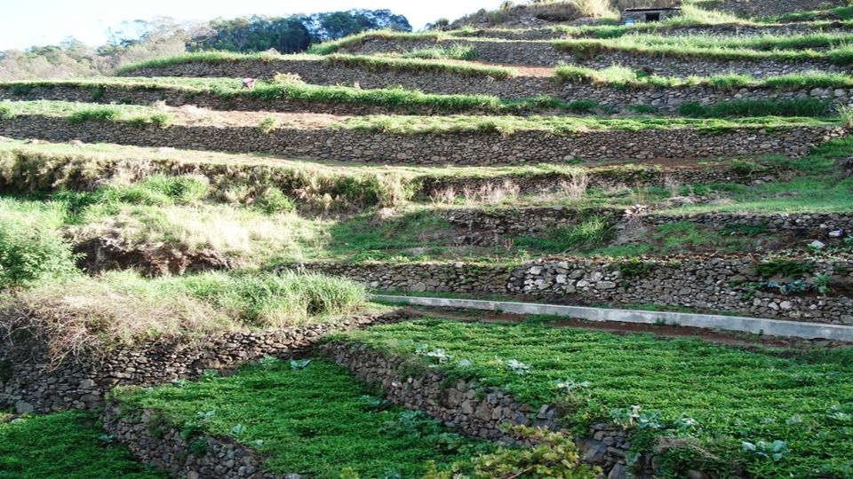 Madeira: Private Hike From Levada Do Caniçal to Machico - Last Words