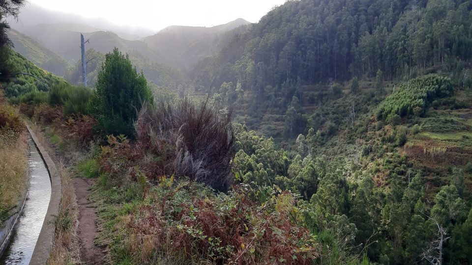 Madeira: Private Levada Ponta Do Pargo Walk - Free Cancellation Policy