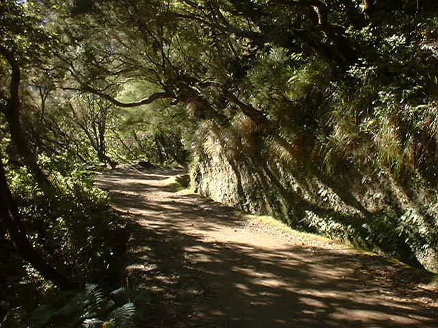 Madeira: Rabaçal Valleys 3-Hour Guided Walk - Last Words
