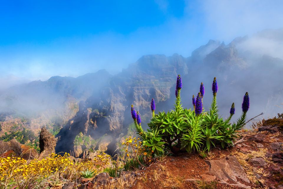 Madeira: Stairway To Heaven Pico Areeiro to Pico Ruivo Hike - Flexibility and Island Beauty