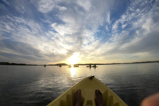 Madu River Sunrise Mangrove Kayaking From Bentota - Common questions