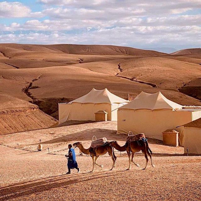 Magical Dinner in Agafay Desert Under the Stars & Camel Rid - Pricing and Inclusions