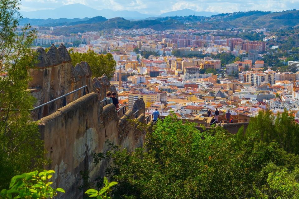 Malaga: Private Exclusive History Tour With a Local Expert - Common questions
