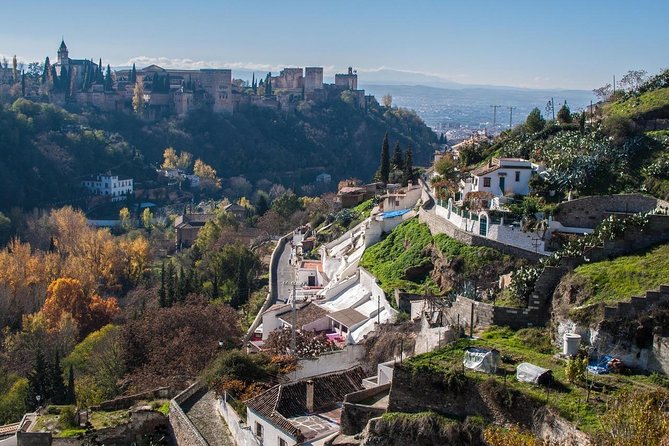 Malaga to Granada Trip With Alhambra Tickets Included - Helpful Tips