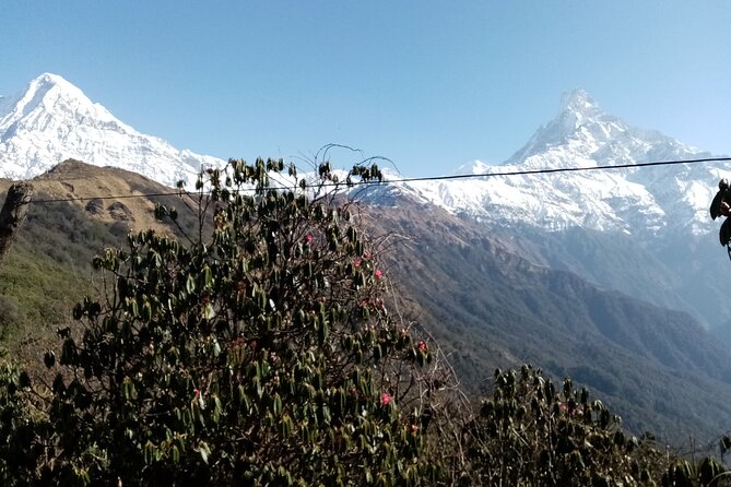 Mardi Himal Newly Discovered Trekking From Pokhara Nepal - Booking Information