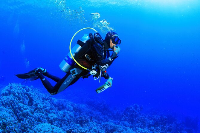 Marmaris Full Day Scuba Diving Two Dives With Lunch Hotel Pickup - Participant Requirements