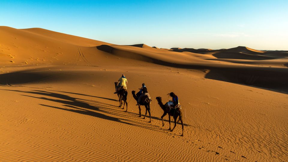 Marrakech: 2-Day Zagora Desert & Kasbah Ait Benhaddou Tour - Last Words