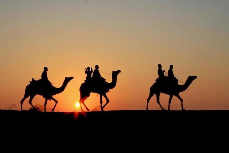 Marrakech: Agafay Desert Tour With Dinner, Camel Ride & Show - Directions for Joining the Tour