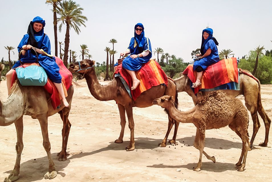 Marrakech: Camel Ride in the Oasis Palmeraie - Transportation and Pickup